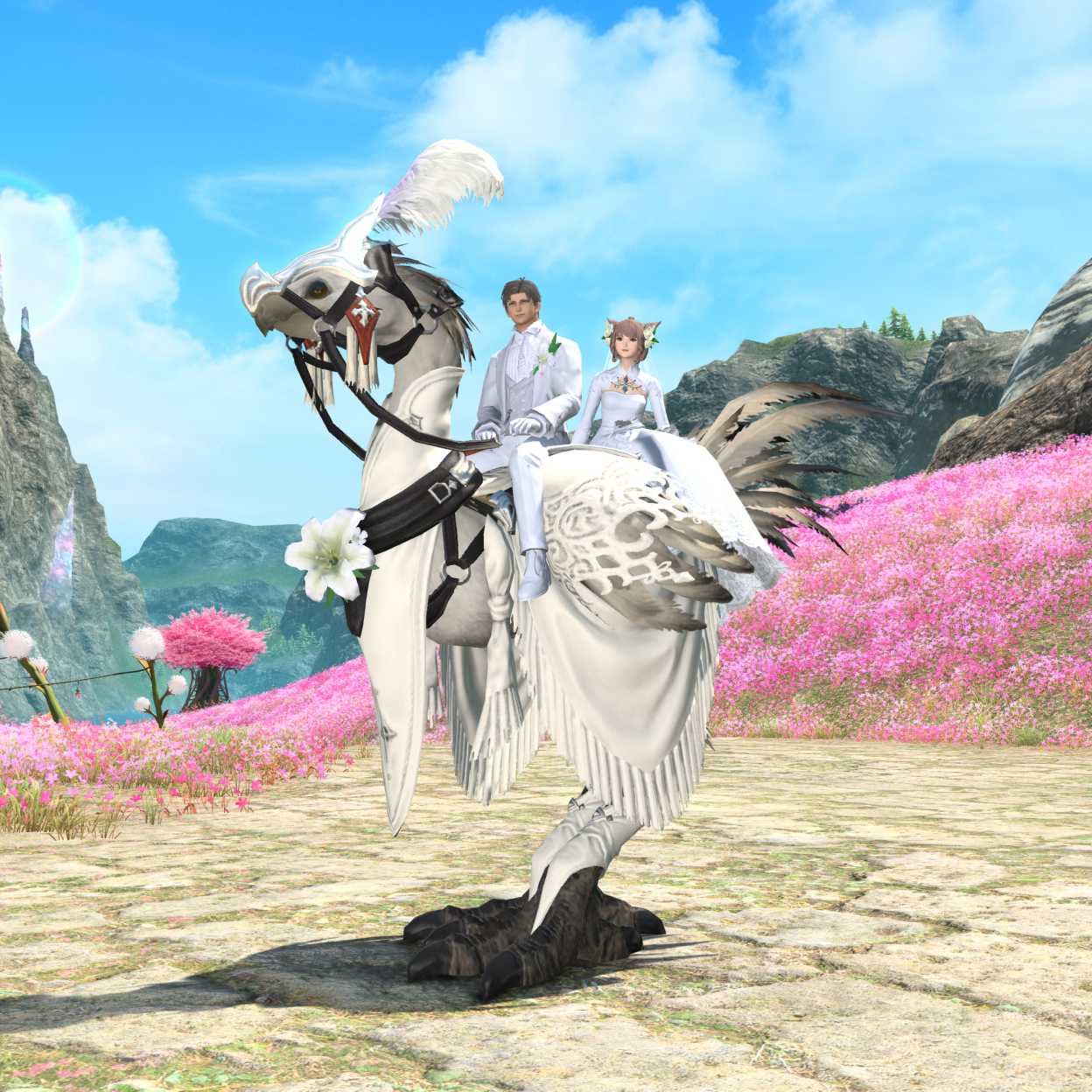 Ceremony Chocobo